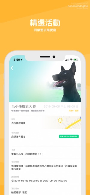 Petio宠物社交app官方软件下载  V1.0图4