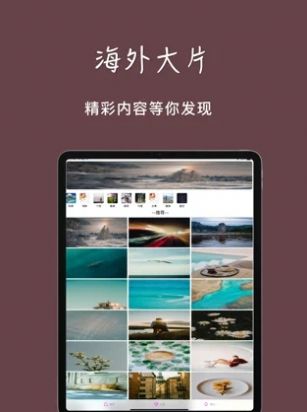 tiktokks超炫壁纸app最新版下载  1.0图3