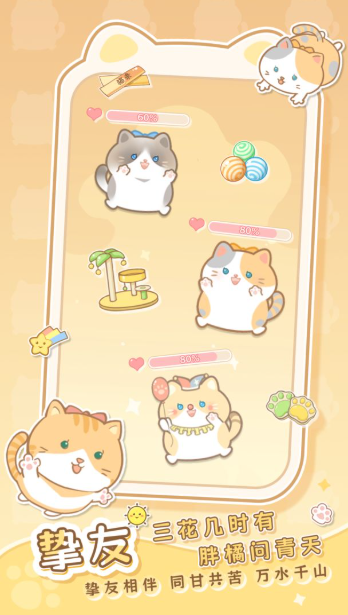 是猫就活100岁图3