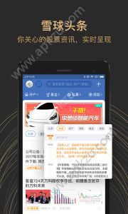 雪球股票app官方版手机下载  v13.15图4