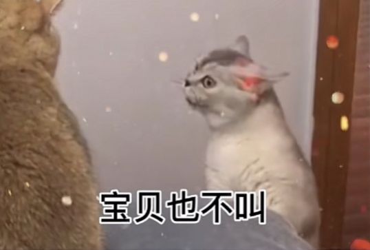 就知道早早早表情包图4