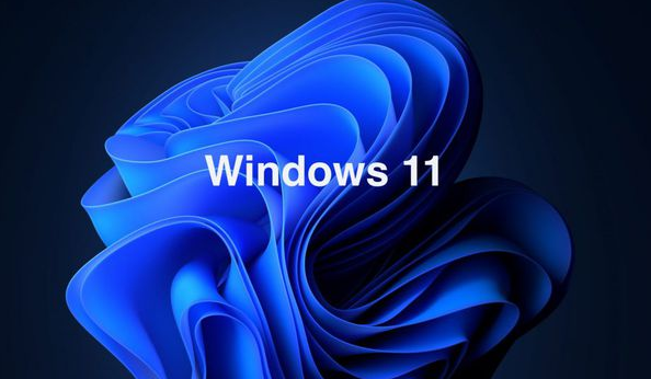 Windows 11 Build系统合集