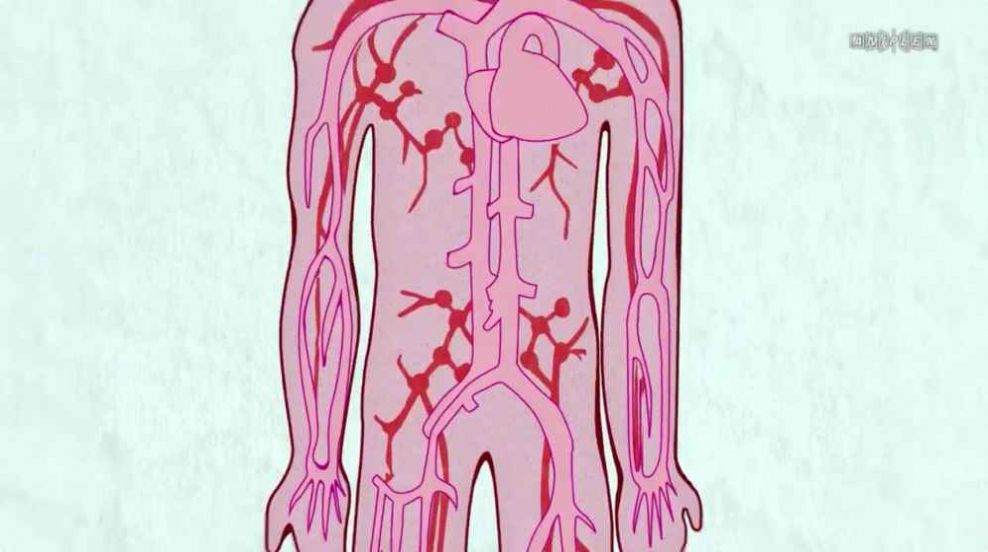 工作细胞细胞大作战樱花无修中文版 v1.0图4