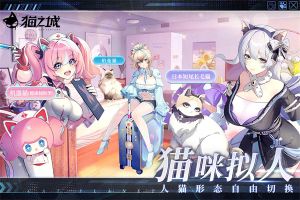猫之城最新版图1