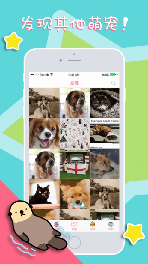 喵狗说app正式版图片1