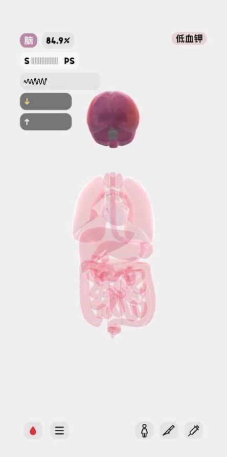 生命人体模拟器安卓汉化中文版  v1.0图2