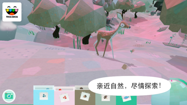 托卡大自然图2
