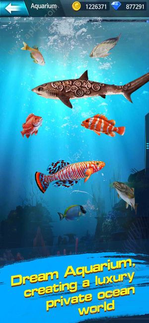 钓鱼锦标赛金币版（Fishing Championship）  v1.2.7图3