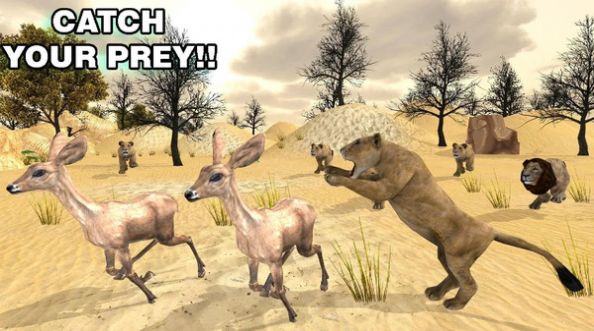 狮子王动物狩猎游戏安卓手机版  v1.2.4图1