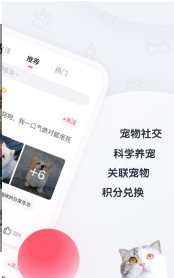 粉爪app手机版官方下载  v1.1图2