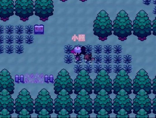 口袋妖怪零维E界手机汉化版  4.0.0图2