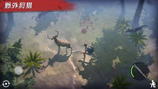 明日传奇一人一狗图3