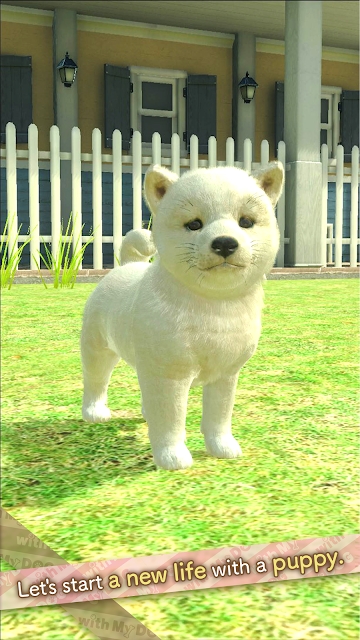 与狗同行游戏图4