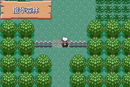 口袋妖怪绿宝石kaizo汉化版金手指下载  v1.1图2