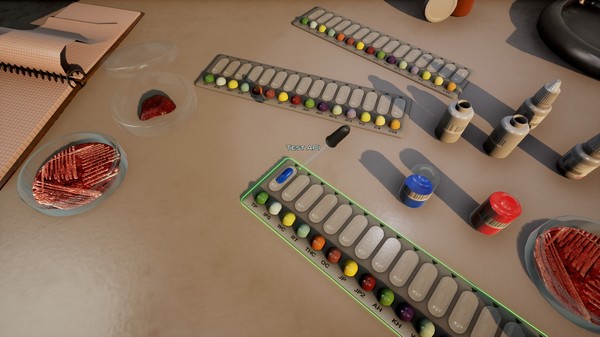 ER大流行模拟器游戏图3