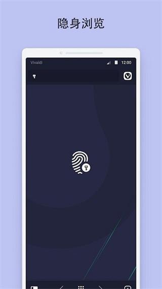 Vivaldi图4
