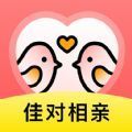 佳对相亲官方版app下载  v2.7.3.1002
