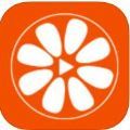 桔子视频app官方