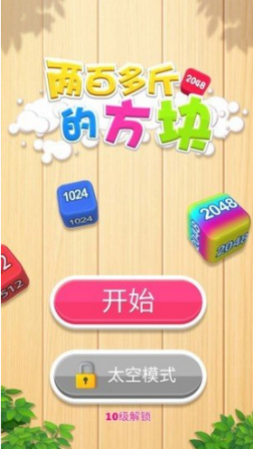 二百多斤的方块游戏图2