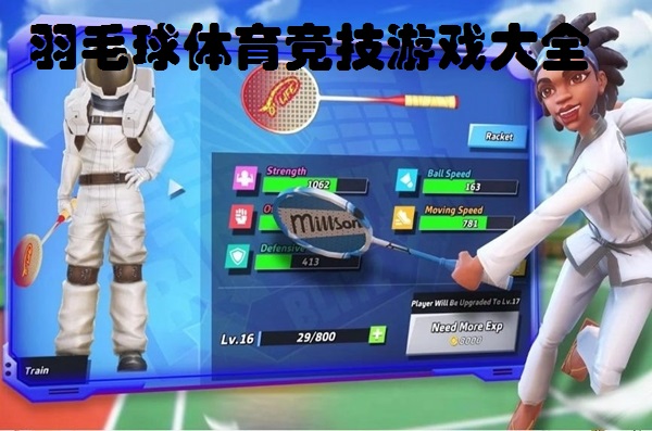 羽毛球体育竞技游戏大全