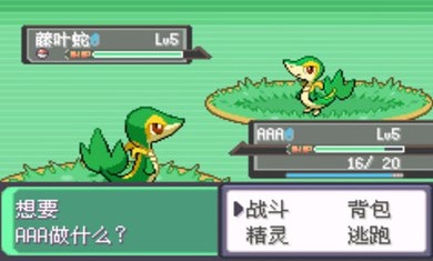 口袋妖怪漆黑的魅影dp版下载汉化安卓版  v2021.06.26.10图4