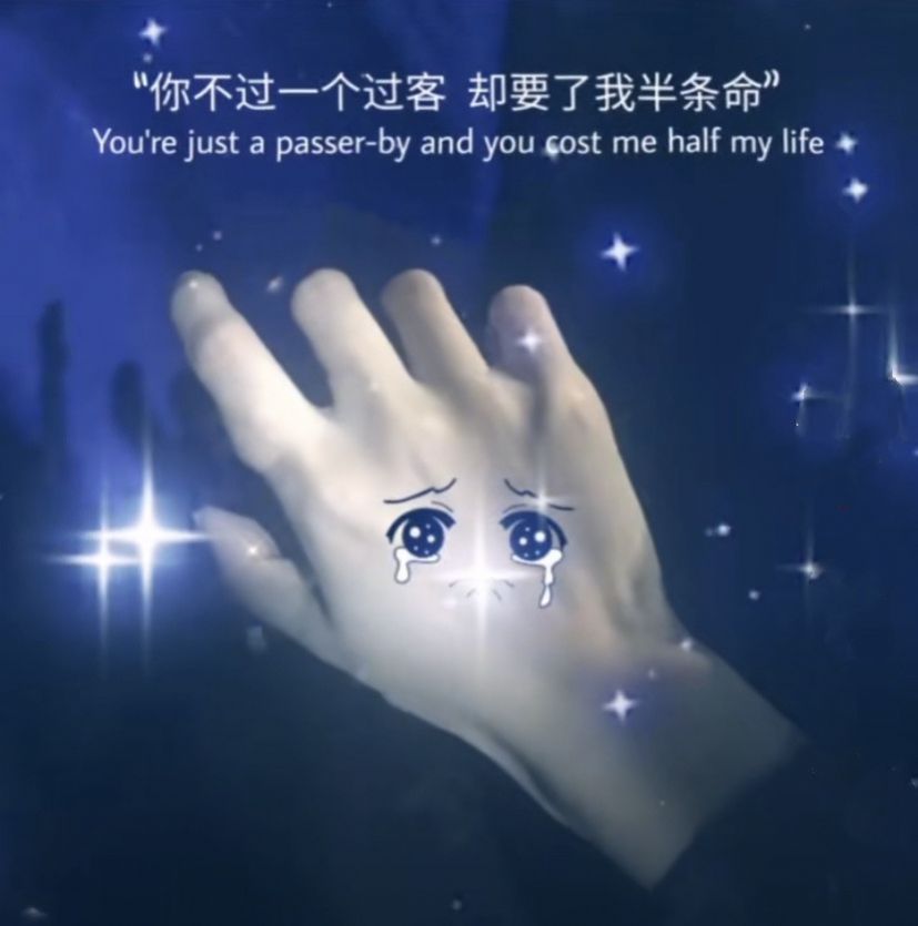 你不过是个过客,却要了我半条命表情包图3