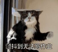 开学必备表情包图1