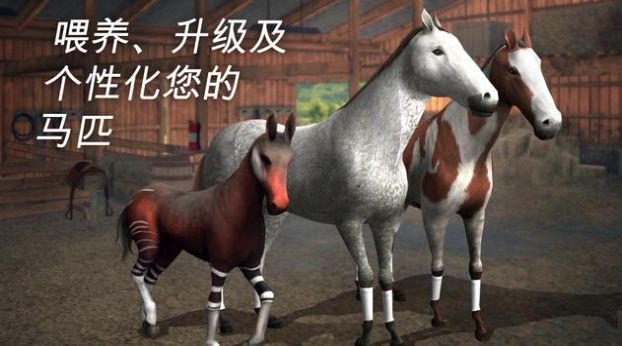 Photo Finish安卓中文版  v90.3图3