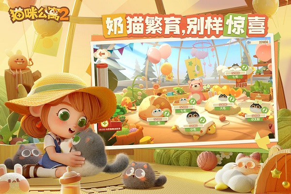 猫咪公寓2华为版图3