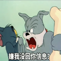 嫌我没回你消息表情包