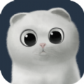 猫咪部落app官方最新下载  V1.0.0