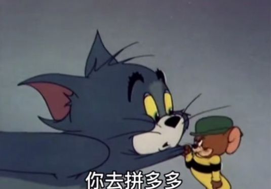 你去拼多多花九块九买条黑丝穿上表情包图1