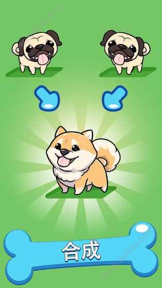 合并汪星人金币安卓版下载下载  v1.6图5