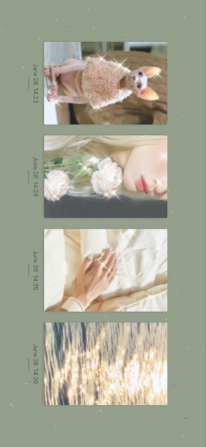 chic cam相机苹果官网版  v4.2图1