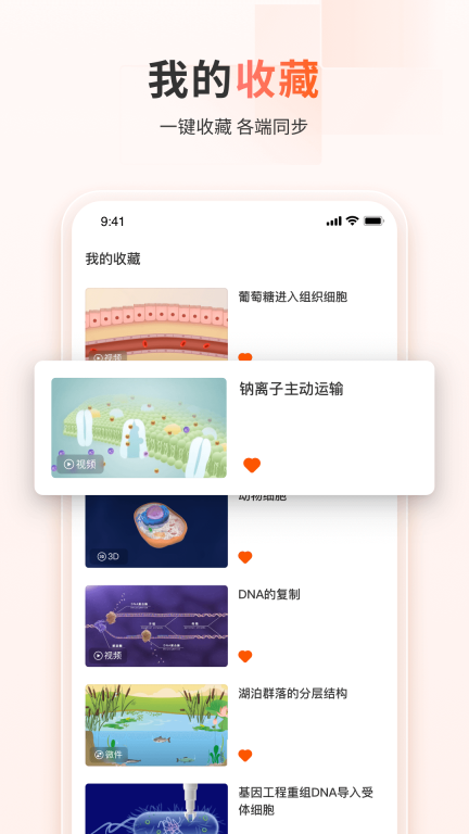 火花学院图3