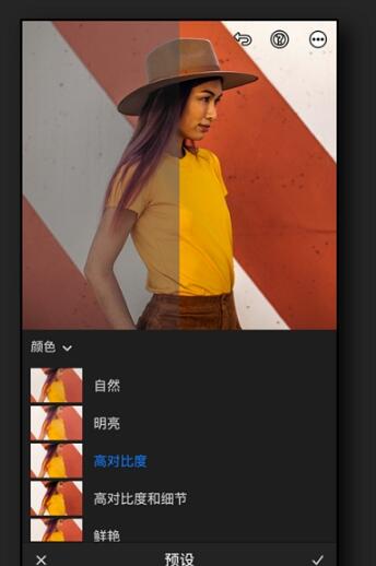 Preset Premium滤镜App图2