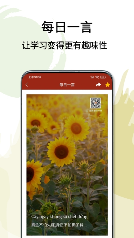越南语翻译通 图5