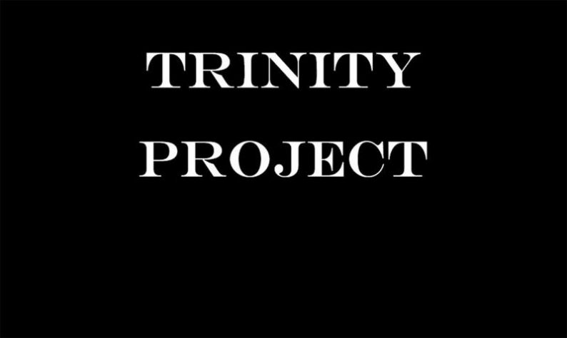 Trinity Project游戏官方安卓版  v1.0图2