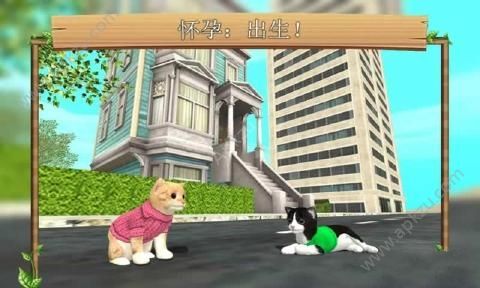 猫咪生存模拟器中文汉化版图2