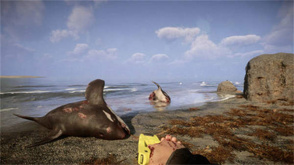 森林之子官网版图2