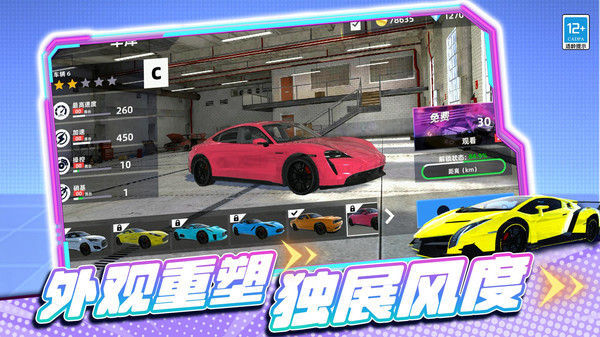 极品模拟车手图2