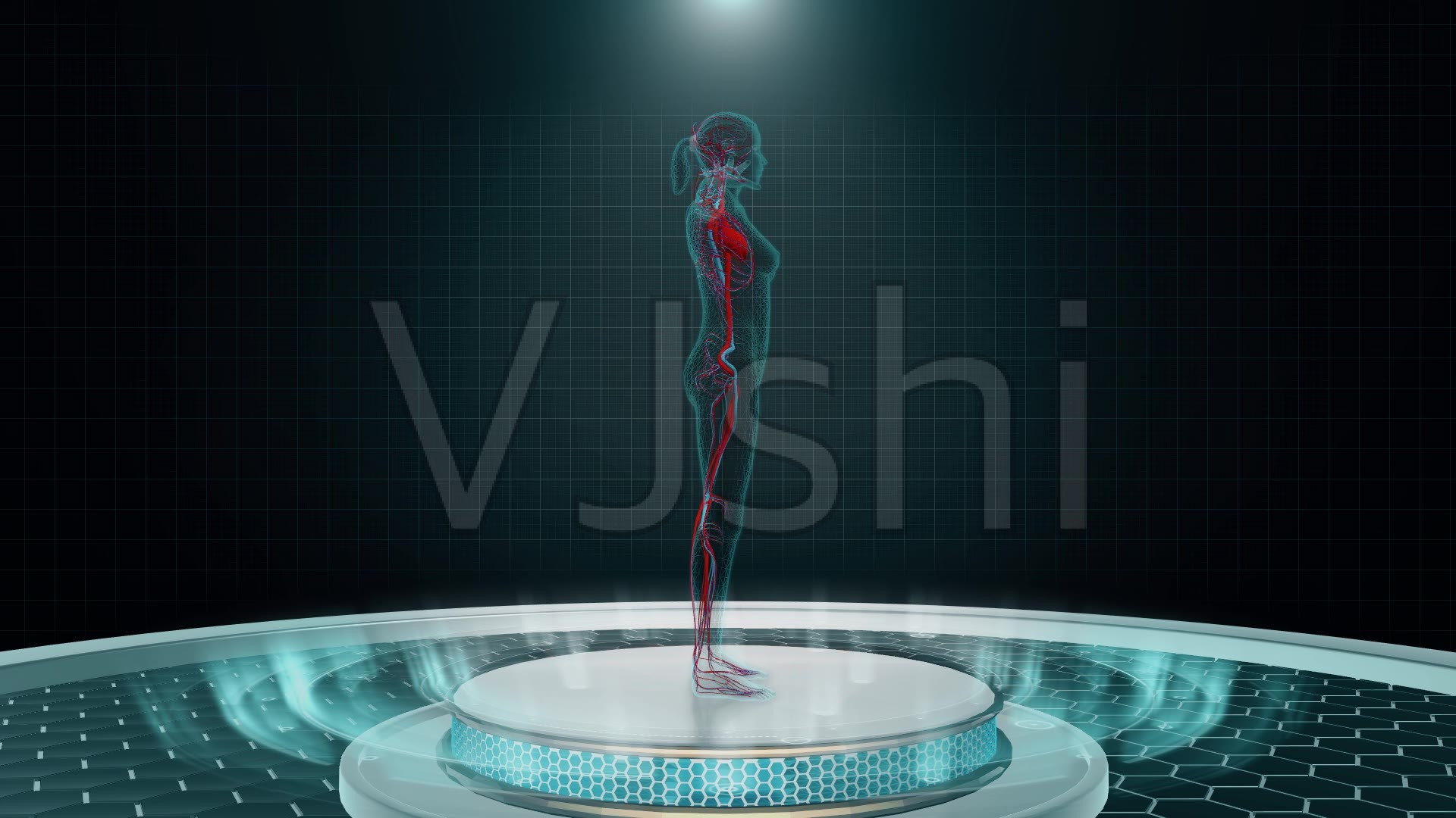 类似女性身体可视化的app合集