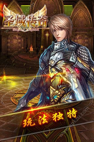 圣域传奇手游图5