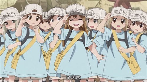 工作细胞第二季最新图2