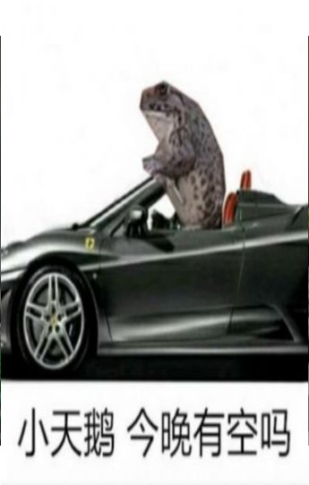 小天鹅就这样飞走了表情包图1