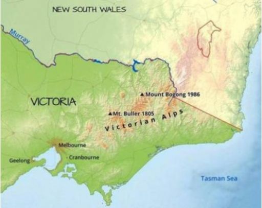 2021美赛a题思路图2