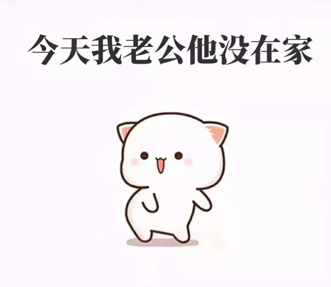 今天我老公他没在家表情包图2