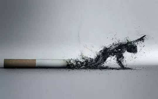 今日抽烟4.0软件合集