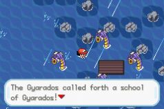 口袋妖怪圣灰汉化版安装包下载  v4.8.6.6图1