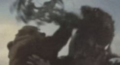 什么刚才给我做的不是核酸检测图8